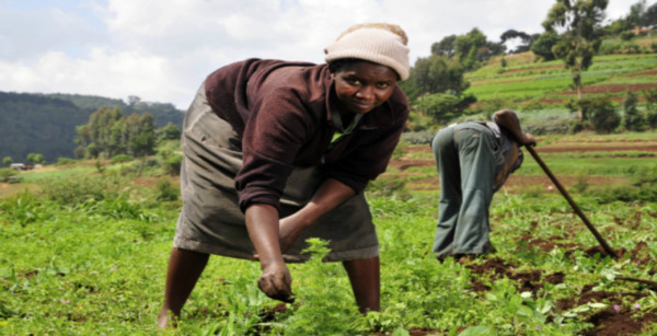 agriculture RDC