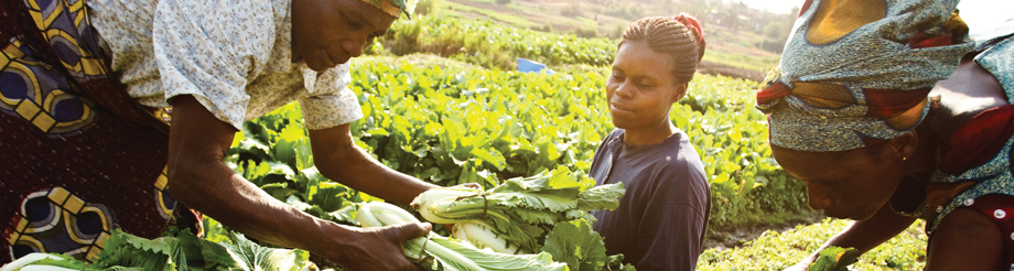 agriculture RDC