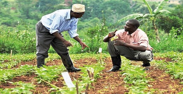 agriculture RDC