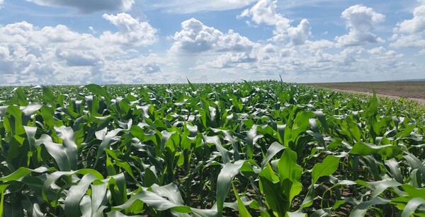 agriculture RDC